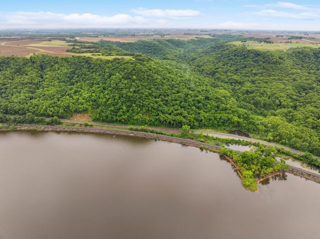 26884 709th St, Lake City, MN 55041 - aerial view of a large body of water