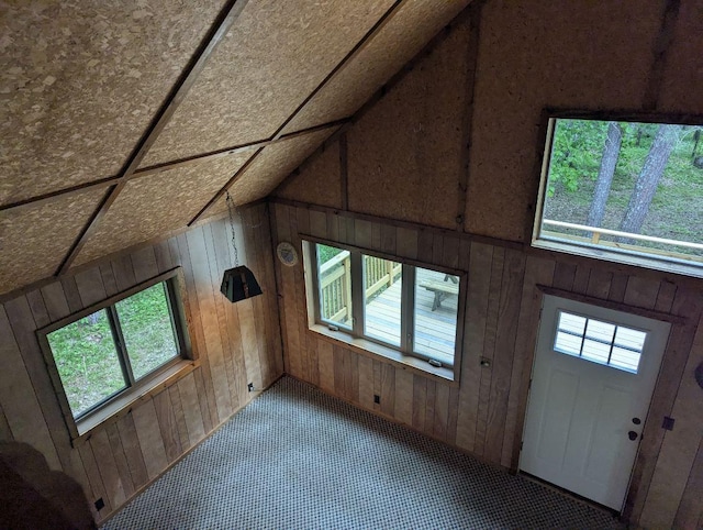 24863 Norway Pine Pl, Ross Lake Twp, MN 56447 - foyer entrance with healthy amount of natural light, wood walls, and lofted ceiling