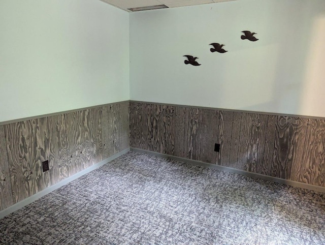 24863 Norway Pine Pl, Ross Lake Twp, MN 56447 - spare room with wainscoting and carpet flooring