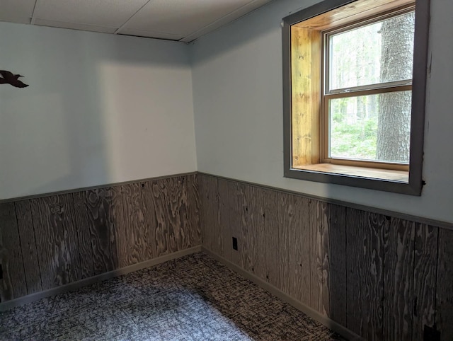 24863 Norway Pine Pl, Ross Lake Twp, MN 56447 - unfurnished room featuring a wainscoted wall, healthy amount of natural light, and carpet