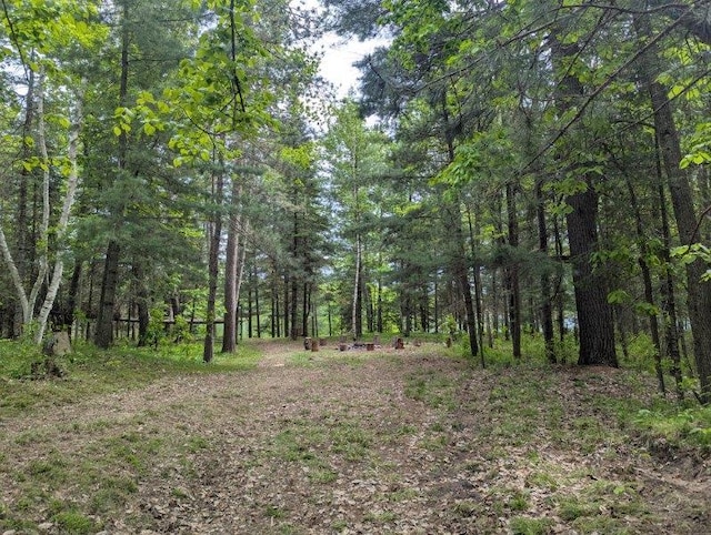 24863 Norway Pine Pl, Ross Lake Twp, MN 56447 - view of tree filled area
