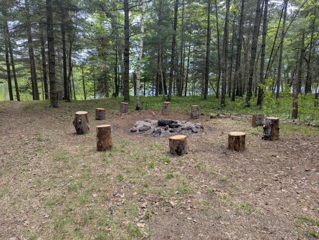 24863 Norway Pine Pl, Ross Lake Twp, MN 56447 - view of yard featuring an outdoor fire pit