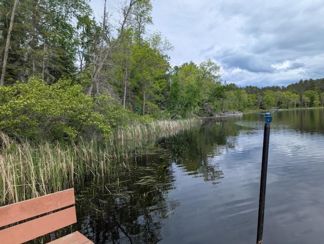 24863 Norway Pine Pl, Ross Lake Twp, MN 56447 - dock area featuring a view of trees and a water view