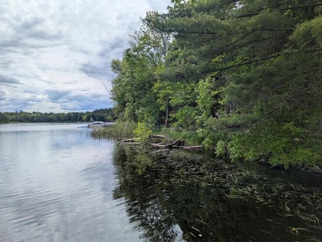 24863 Norway Pine Pl, Ross Lake Twp, MN 56447 - water view featuring a heavily wooded area