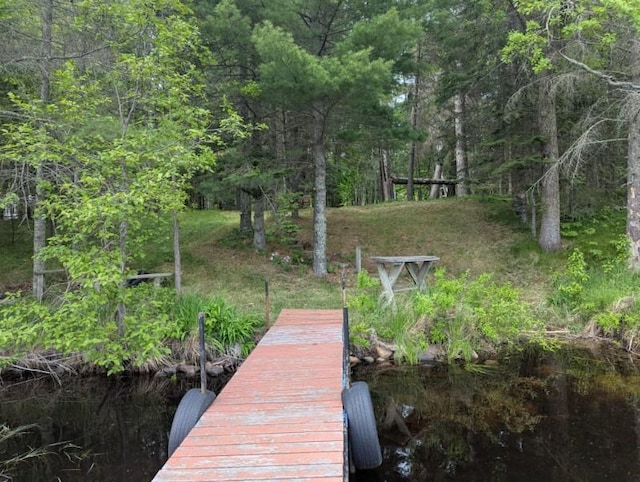 24863 Norway Pine Pl, Ross Lake Twp, MN 56447 - dock featuring a view of trees