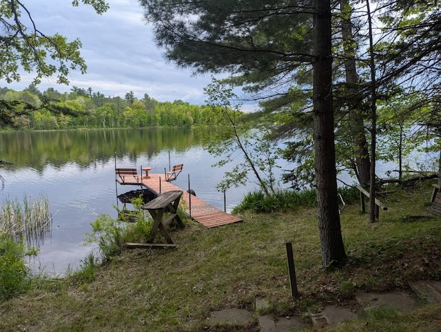 24863 Norway Pine Pl, Ross Lake Twp, MN 56447 - dock with a water view and a view of trees