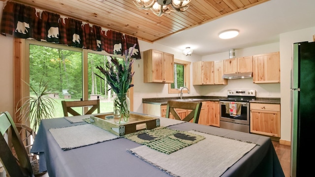 W8567 County Road Mm, Mead Twp, WI 54437 - kitchen with stainless steel electric range oven, under cabinet range hood, light brown cabinets, freestanding refrigerator, and dark countertops