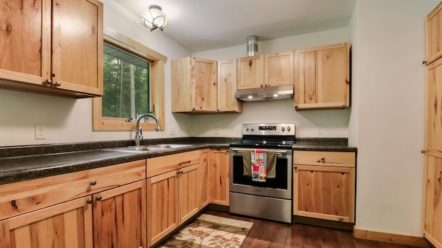 W8567 County Road Mm, Mead Twp, WI 54437 - kitchen with stainless steel electric stove, under cabinet range hood, a sink, and light brown cabinetry