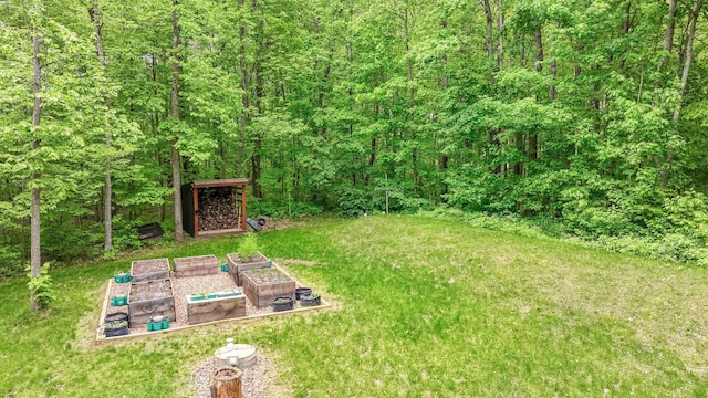 W8567 County Road Mm, Mead Twp, WI 54437 - view of grassy yard featuring a vegetable garden and a view of trees