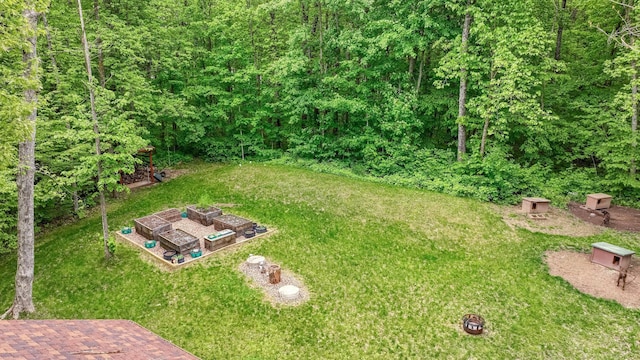 W8567 County Road Mm, Mead Twp, WI 54437 - view of green lawn featuring a garden