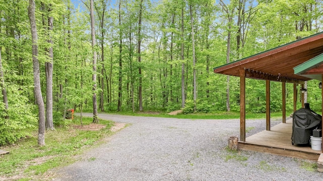 W8567 County Road Mm, Mead Twp, WI 54437 - view of dirt / gravel driveway with a wooded view