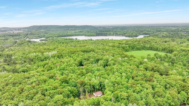 W8567 County Road Mm, Mead Twp, WI 54437 - drone / aerial view of a forest and a nearby body of water