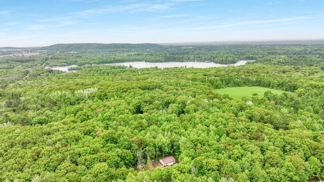W8567 County Road Mm, Mead Twp, WI 54437 - photo 23