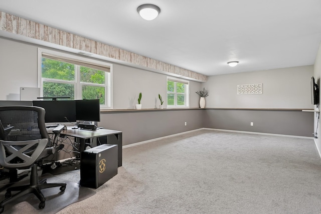 903 6th Ave NW, Buffalo, MN 55313 - home office featuring carpet and baseboards