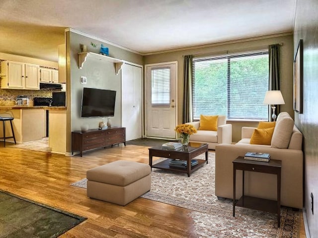 7635 Wedgewood Ct N, Maple Grove, MN 55311 - living area featuring light wood-type flooring and ornamental molding