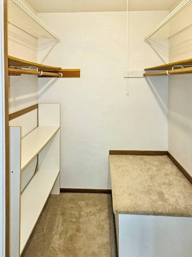 7635 Wedgewood Ct N, Maple Grove, MN 55311 - spacious closet featuring carpet flooring