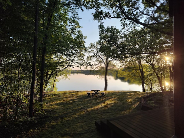 12183 Crooked Lake Ln SW, Moe Twp, MN 56327 - water view