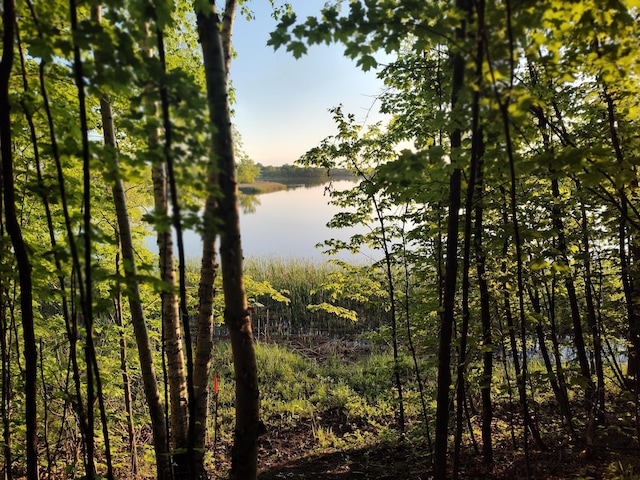 12183 Crooked Lake Ln SW, Moe Twp, MN 56327 - water view with a forest