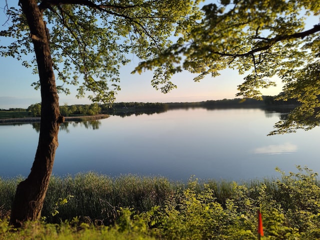 12183 Crooked Lake Ln SW, Moe Twp, MN 56327 - water view