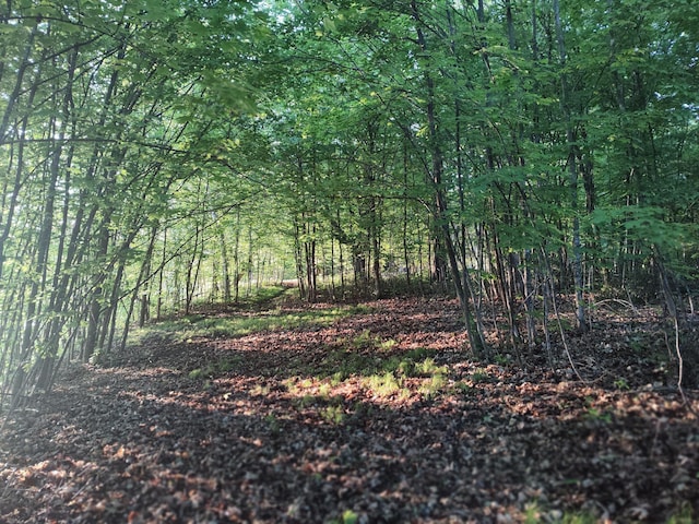 12183 Crooked Lake Ln SW, Moe Twp, MN 56327 - view of local wilderness