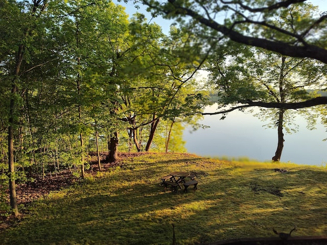 12183 Crooked Lake Ln SW, Moe Twp, MN 56327 - view of undeveloped land