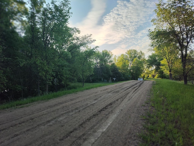 12183 Crooked Lake Ln SW, Moe Twp, MN 56327 - view of dirt / gravel road