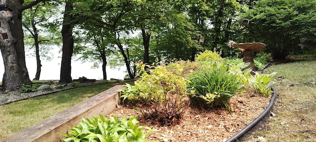 12183 Crooked Lake Ln SW, Moe Twp, MN 56327 - view of yard