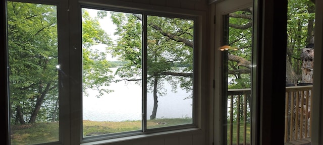 12183 Crooked Lake Ln SW, Moe Twp, MN 56327 - doorway to outside with a water view