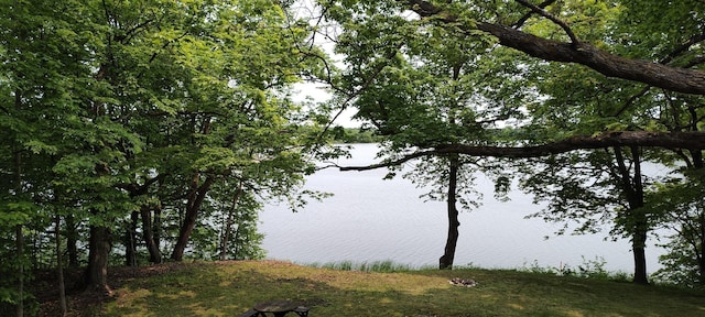 12183 Crooked Lake Ln SW, Moe Twp, MN 56327 - water view