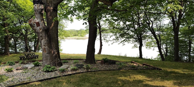 12183 Crooked Lake Ln SW, Moe Twp, MN 56327 - water view