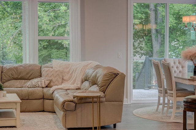 1345 Bluff Border Rd, New Richmond, WI 54017 - living room featuring wood finished floors and healthy amount of natural light