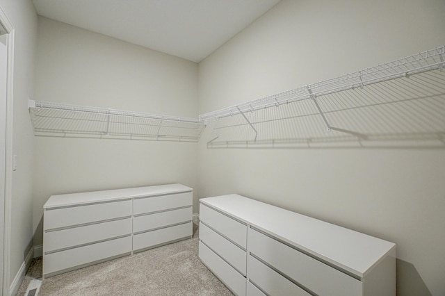 1345 Bluff Border Rd, New Richmond, WI 54017 - walk in closet featuring light carpet
