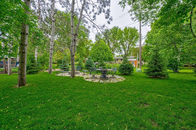 1345 Bluff Border Rd, New Richmond, WI 54017 - view of green lawn