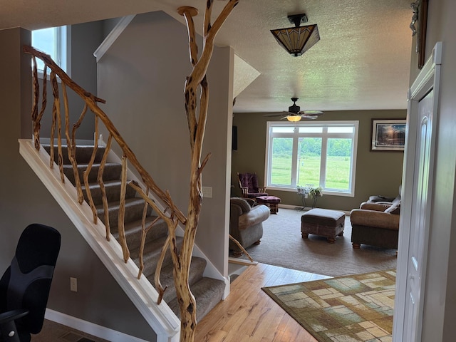 2655 Quail St, Whited Twp, MN 55007 - photo 20
