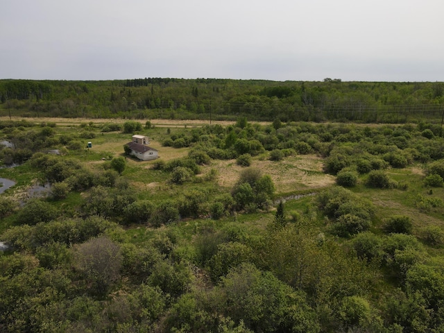 61075 County Road 236, Bigfork Twp, MN 56628