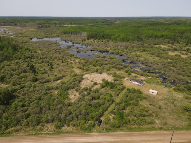 61075 County Road 236, Bigfork Twp, MN 56628