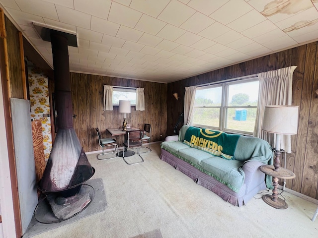 61075 County Road 236, Bigfork Twp, MN 56628