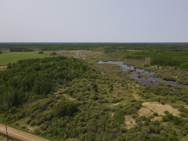 61075 County Road 236, Bigfork Twp, MN 56628