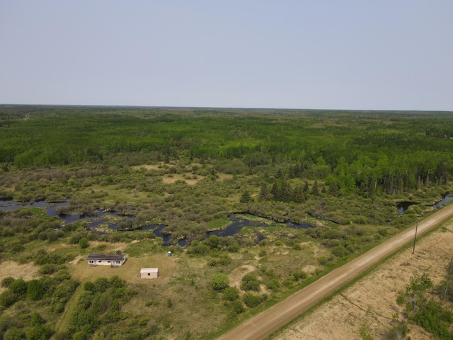 61075 County Road 236, Bigfork Twp, MN 56628