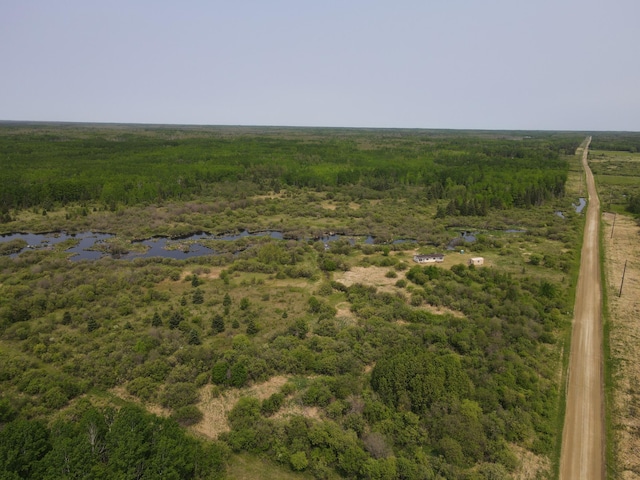 61075 County Road 236, Bigfork Twp, MN 56628
