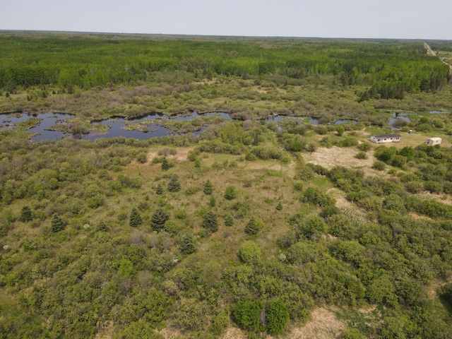 61075 County Road 236, Bigfork Twp, MN 56628