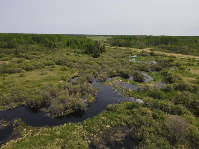 61075 County Road 236, Bigfork Twp, MN 56628