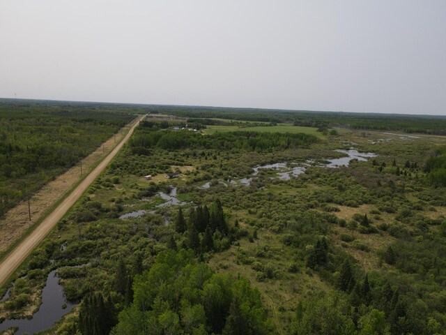 61075 County Road 236, Bigfork Twp, MN 56628