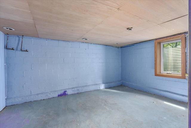 543 Pearl St, River Falls, WI 54022 - basement with concrete block wall