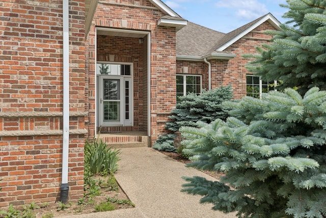 26033 607th St, Mantorville, MN 55955 - property entrance featuring brick siding and a shingled roof
