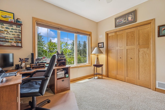 26033 607th St, Mantorville, MN 55955 - carpeted office featuring baseboards