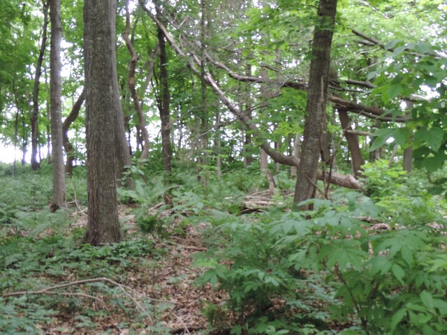 TBD Duck Point Rd NW, Cass Lake, MN 56633