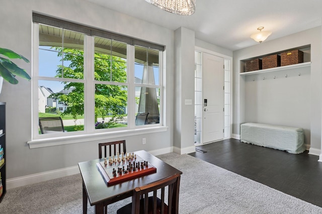 3751 Crane Island Ct, Minnetrista, MN 55331 - mudroom featuring healthy amount of natural light, carpet flooring, and baseboards