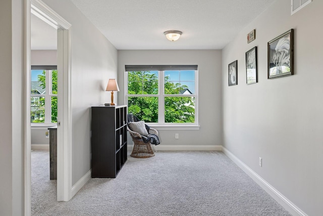3751 Crane Island Ct, Minnetrista, MN 55331 - living area with carpet floors, baseboards, and a textured ceiling