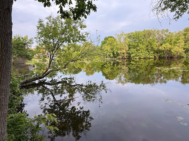 14410 92nd Ave N, Maple Grove, MN 55369 - water view